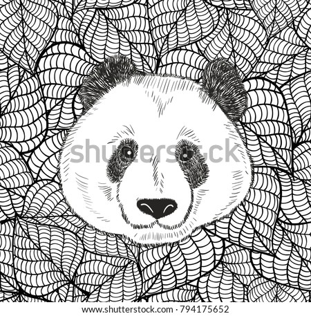 Panda Coloring Page Stock Images, Royalty-Free Images & Vectors