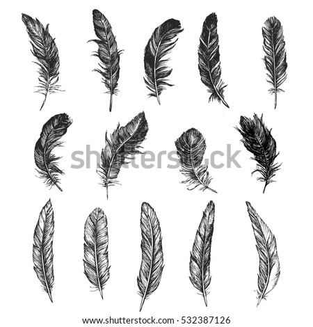 Feather Stock Images, Royalty-Free Images & Vectors | Shutterstock