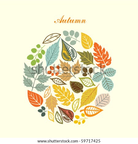 autumn leaf background