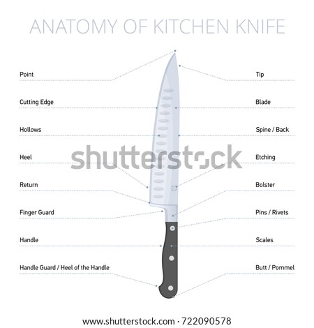 Kitchen Knife Parts Diagram Blade Bolster Stock Vector 722090578 ...