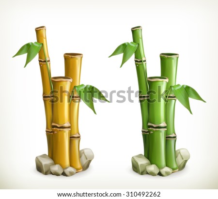 Bamboo, vector icon