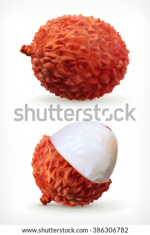 Lychee, vector icon