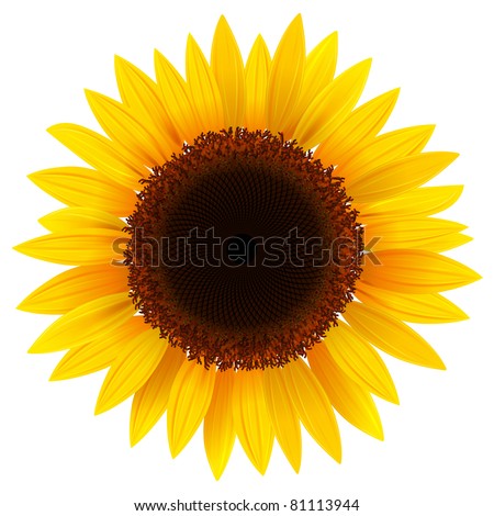 Free Free 173 Sunflower Leaf Svg SVG PNG EPS DXF File