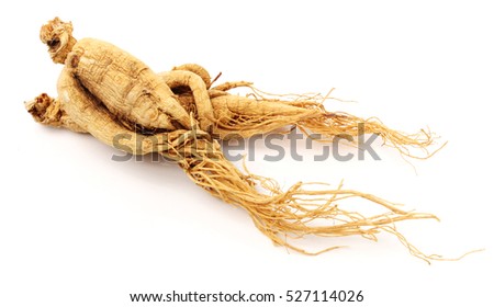 ginseng isolated on white background