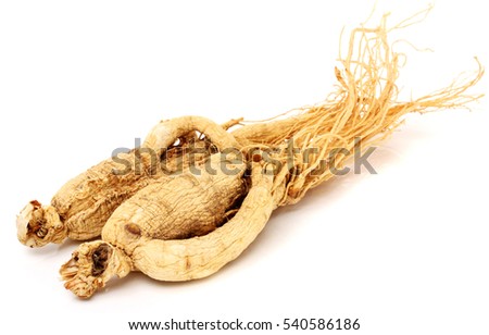 ginseng isolated on white background