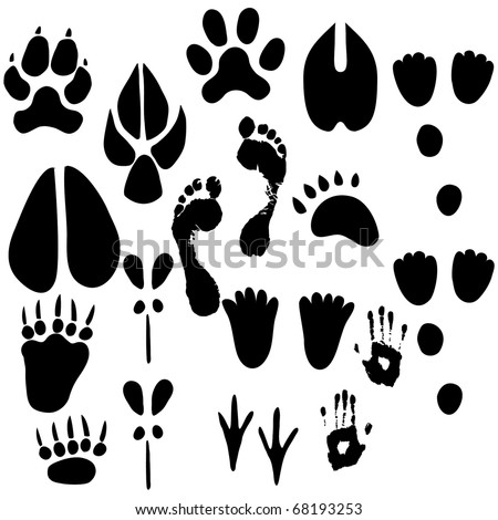 Horse footprints Stock Photos, Images, & Pictures | Shutterstock