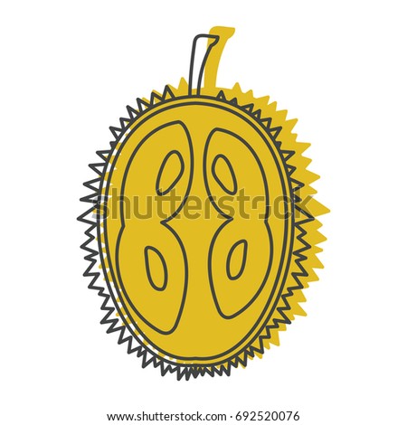Durian fruit in doodle style icons vector illustration for design and web isolated on white background. Durian fruit vector object for labels and logo