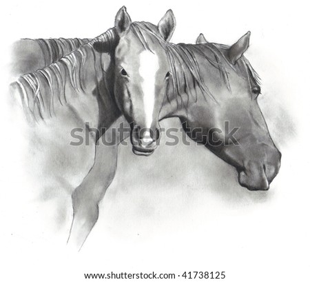 Horse Walking Away Pencil Drawing This Stock Illustration 145858430 ...