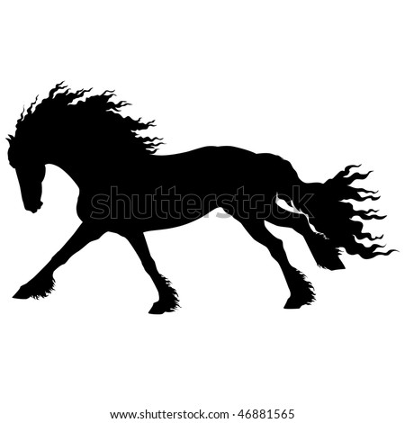 Friesian horse Stock Photos, Images, & Pictures | Shutterstock