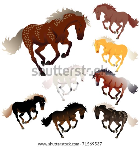 vector collection different colors horses stock vector royalty free