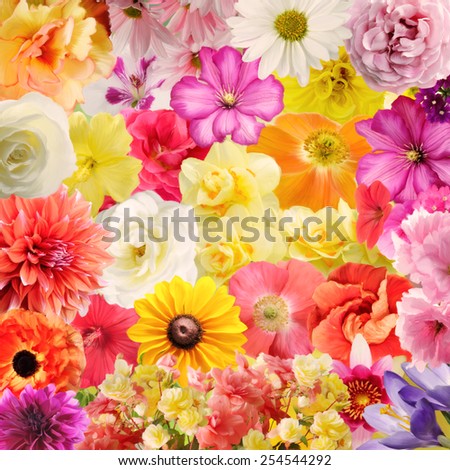 Floral Design Stock Images, Royalty-Free Images & Vectors | Shutterstock