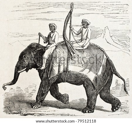 Old illustration of an elephant in Oude, antique Indian northern ...
