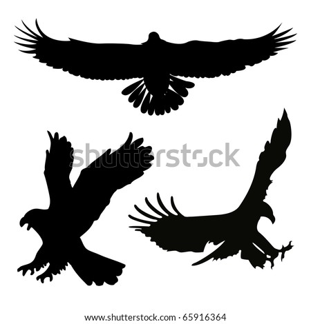 Eagle Silhouettes Stock Vectors & Vector Clip Art | Shutterstock