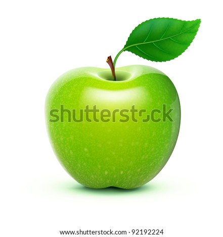 Vector illustration of detailed big shiny green apple