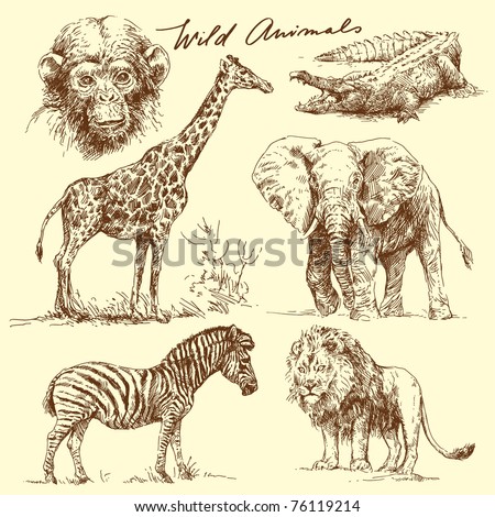 wild animals