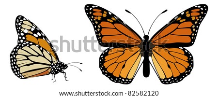 Monarch butterfly icon Stock Photos, Images, & Pictures | Shutterstock