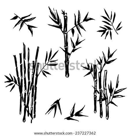 Bamboo Sketches Stock Vector (Royalty Free) 237227362 - Shutterstock