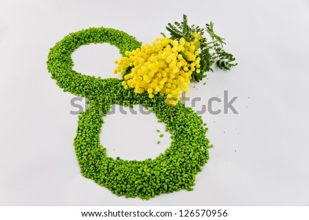 International Women's Day mimosa flower