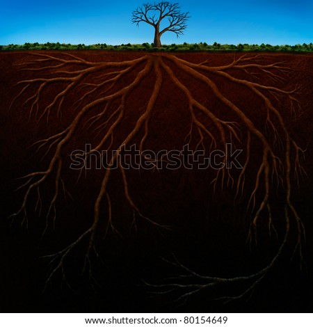 Underground Roots Tree Stock Photos, Images, & Pictures | Shutterstock