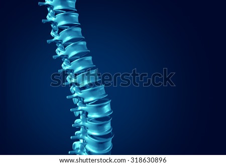 Human Spine concept as medical health care anatomy symbol with the skeletal spinal bone structure closeup on a dark blue background as blank copy space.