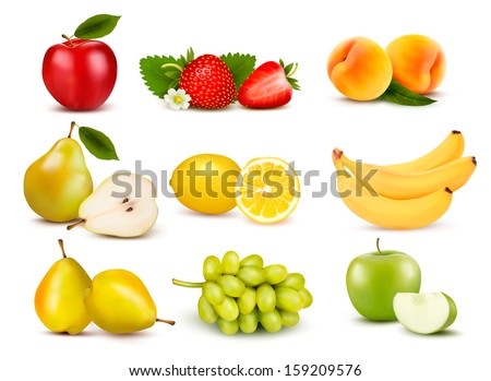 Big group of different fruit. Vector.