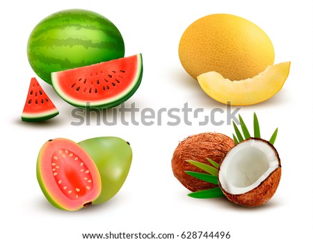 Collection of fruit and berries. Watermelon, honeydew, guava, coconut. Vector Set.