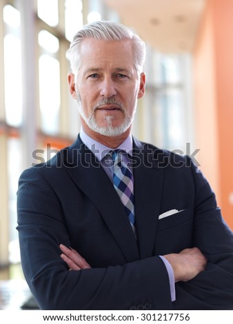 stock-photo-portrait-of-senior-business-man-with-grey-beard-and-hair-alone-i-modern-office-indoors-301217756.jpg