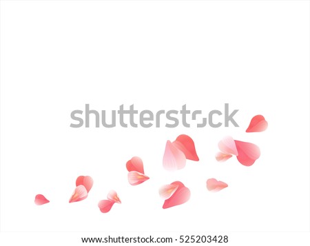 Flowers Design Flowers Petals Sakura Flying 스톡 벡터 525203428 - Shutterstock