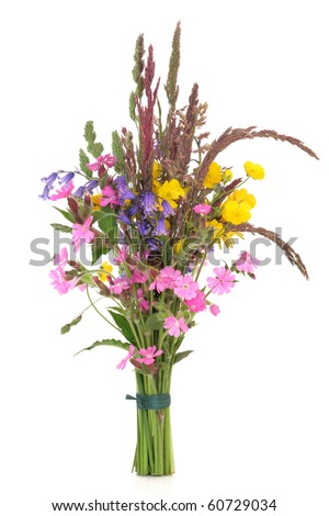 Blomster! - Widowmaker Stock-photo-spring-wildflowers-and-grass-varieties-tied-in-a-bunch-isolated-over-white-background-60729034