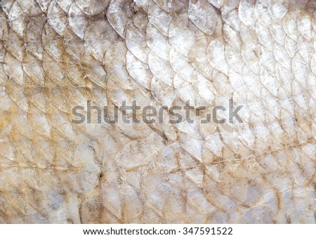 smoked fish skin as a background