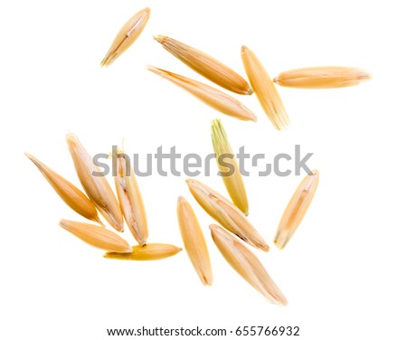 schankz's Portfolio on Shutterstock