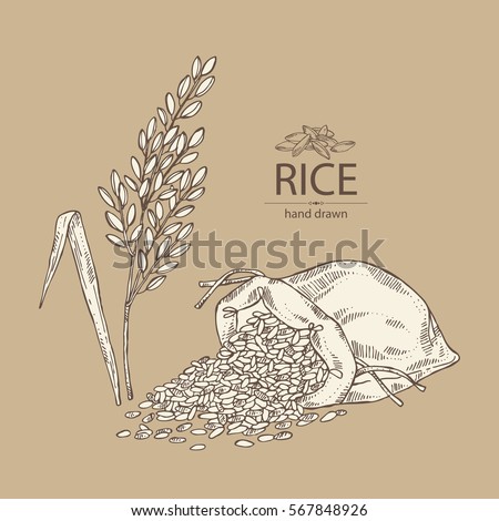 Background with rice, bag of rice. hand drawn.