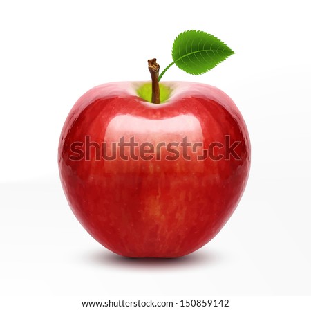 Vector red apple isolated
