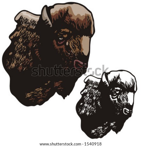 Illustration Bison Stock Vector 1540929 - Shutterstock