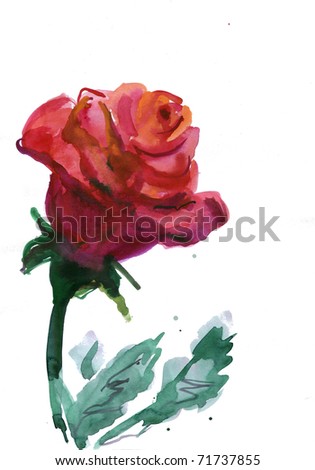 Beautiful Rose Watercolor Stock Photo 128265674 - Shutterstock