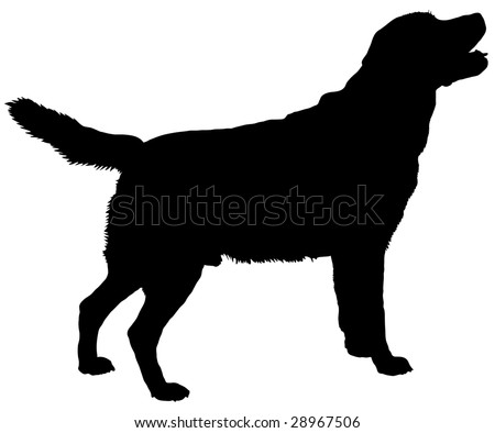 silhouette of a dog of breed labrador retriever