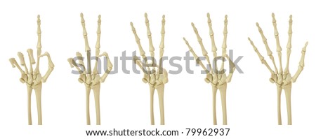 Skeleton Hand Stock Images, Royalty-Free Images & Vectors | Shutterstock