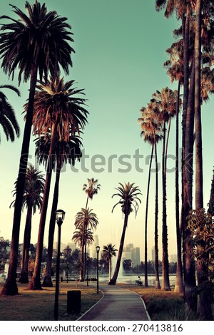 Los Angeles downtown park view with palm trees.