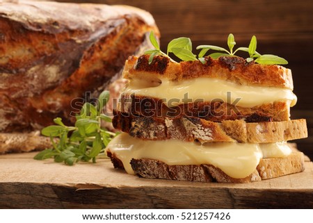 Fresh sandwich with cheese and herbs with empty space for text