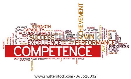 other word for experience