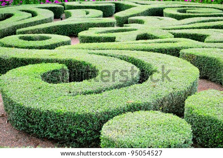 Labyrinth Designs Garden find this pin and more on labyrinths by sassa12345 garden labyrinth designs Beautiful Labyrinth Design In A House Garden Labyrinth Designs Garden remarkable labyrinth garden design Beautiful Labyrinth Design In A House Garden
