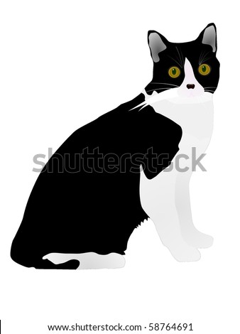 Fur-lined Stock Images, Royalty-Free Images & Vectors | Shutterstock