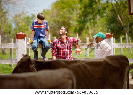 Everyday life for farmer with cows. Peasant work in South America with livestock in family country ranch. Happy grandfather, father and son relaxing and smiling.
