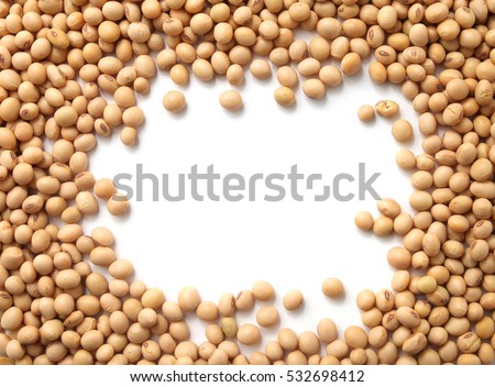 Soybeans isolated on white background