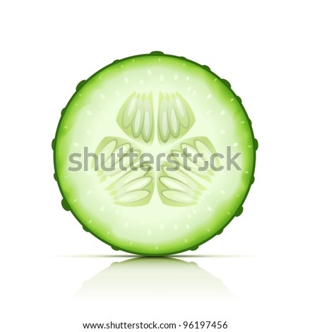 ripe cucumber cut segment vector illustration isolated on white background EPS10. Transparent objects used for shadows and lights drawing