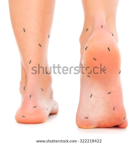 Women Foot Stepping Stock Photo 103233800 - Shutterstock