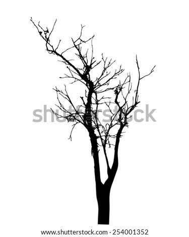 Vector Silhouette Tree Stock Vector 155336333 - Shutterstock