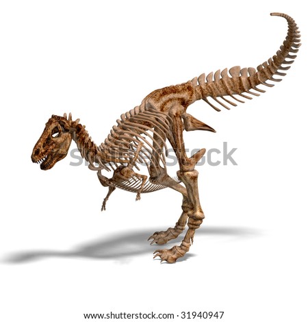 Anatomical Correct Male Skeleton 3d Rendering Stock Illustration ...