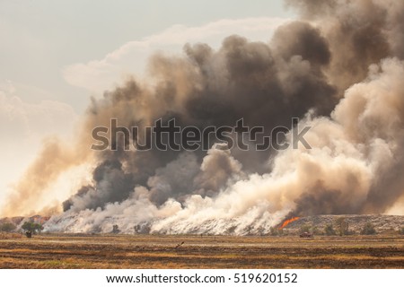 Burning garbage heap of smoke from a burning pile of garbage