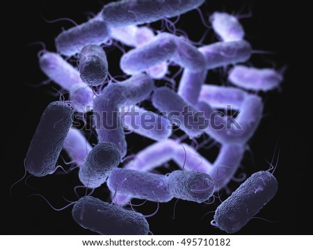 Gram-negative Stock Images, Royalty-Free Images & Vectors | Shutterstock